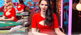 মোবাইল থেকে লবি ব্রাউজ করার দৃশ্য